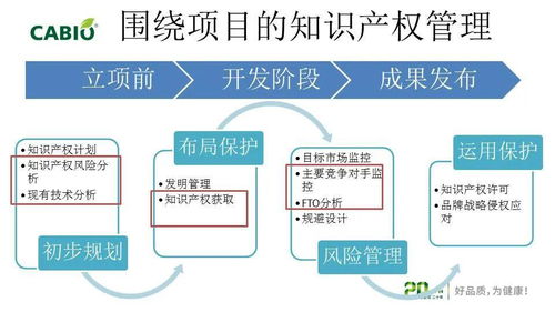 企業(yè)知識產權管理與專利信息利用 企業(yè)管理咨詢的新戰(zhàn)略視角